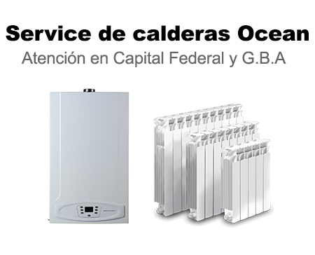 Service oficial Calderas Caldaia